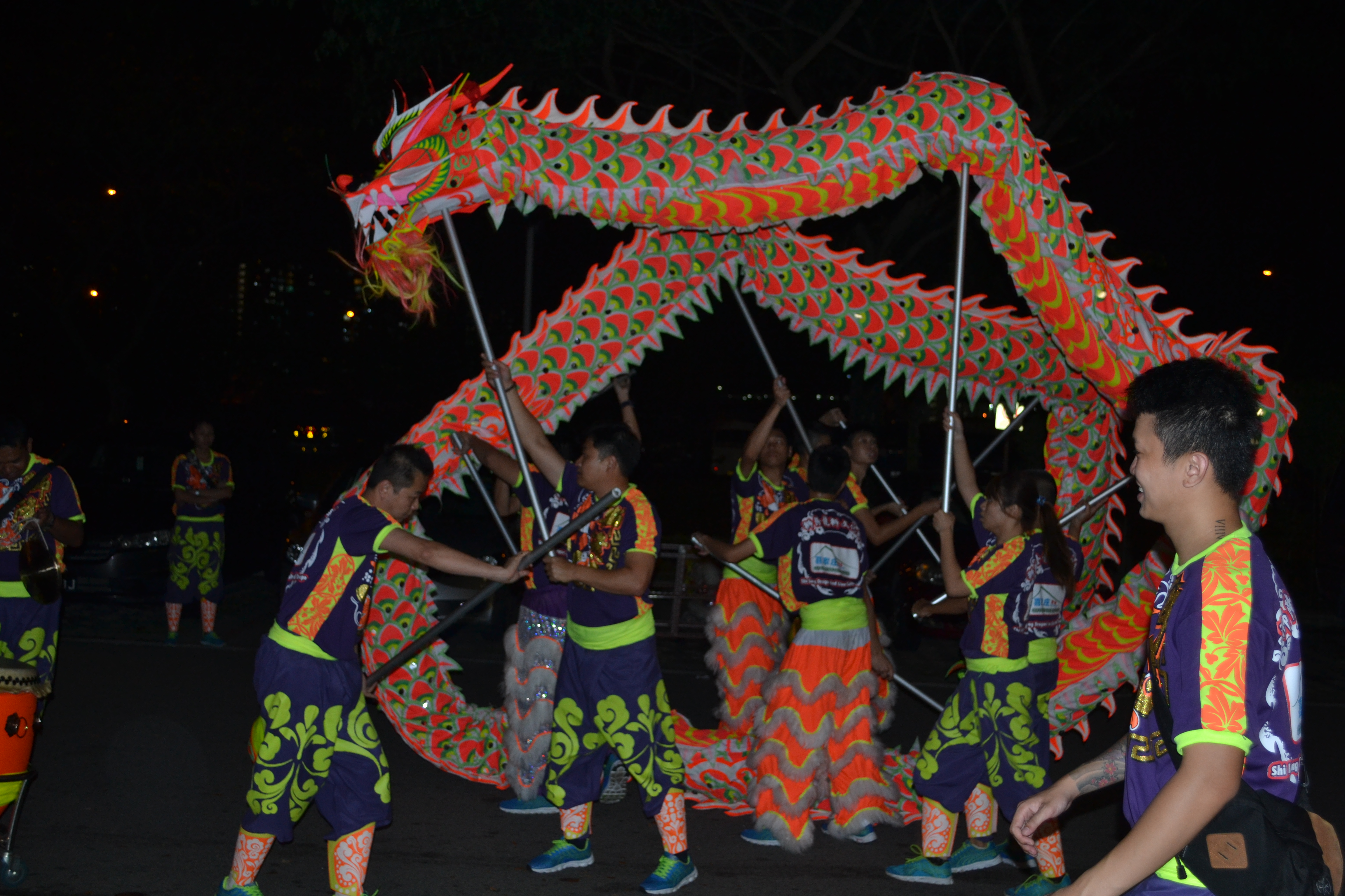 Dragon and LED Dragon Dance Performance 1