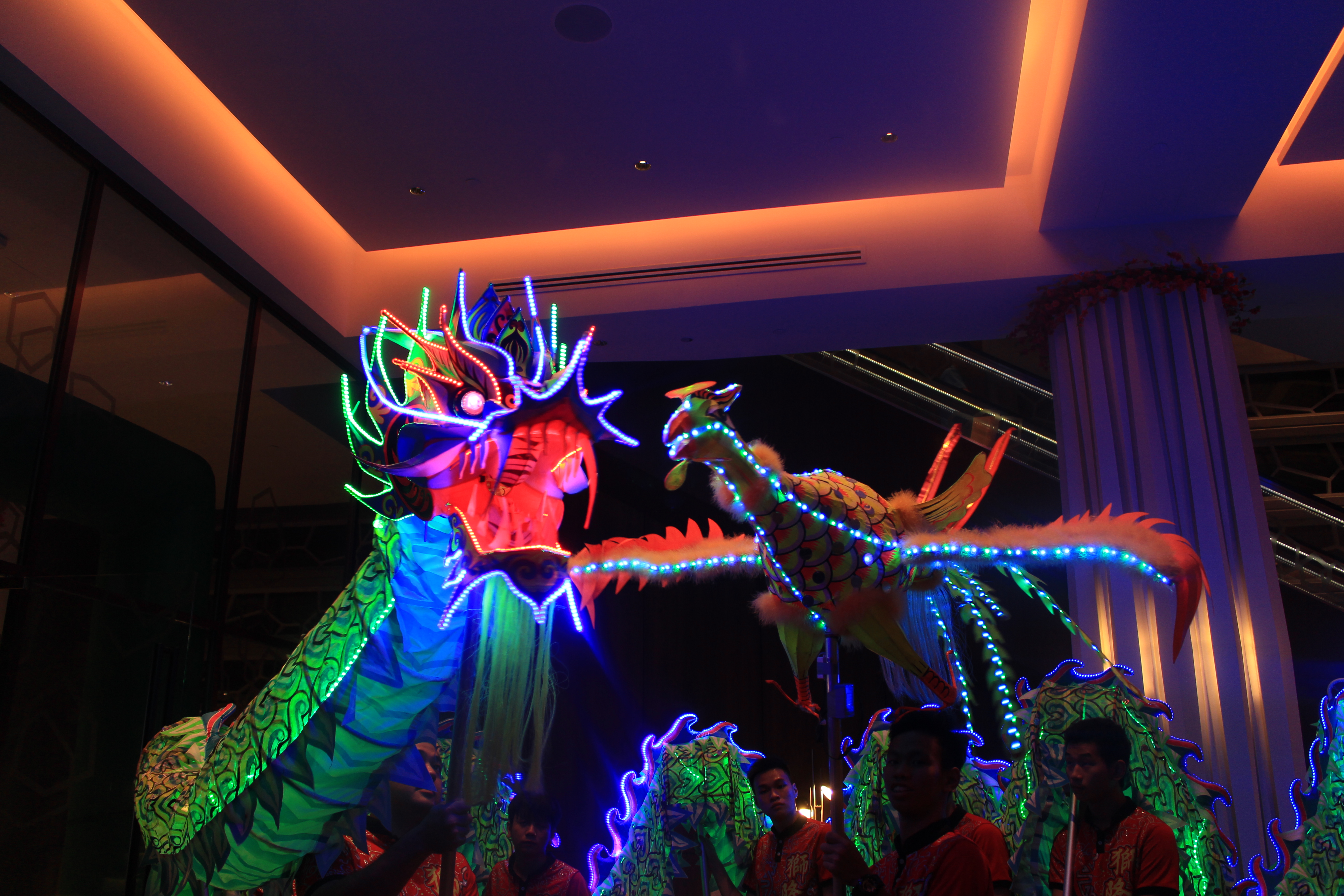 Dragon and LED Dragon Dance Performance 2