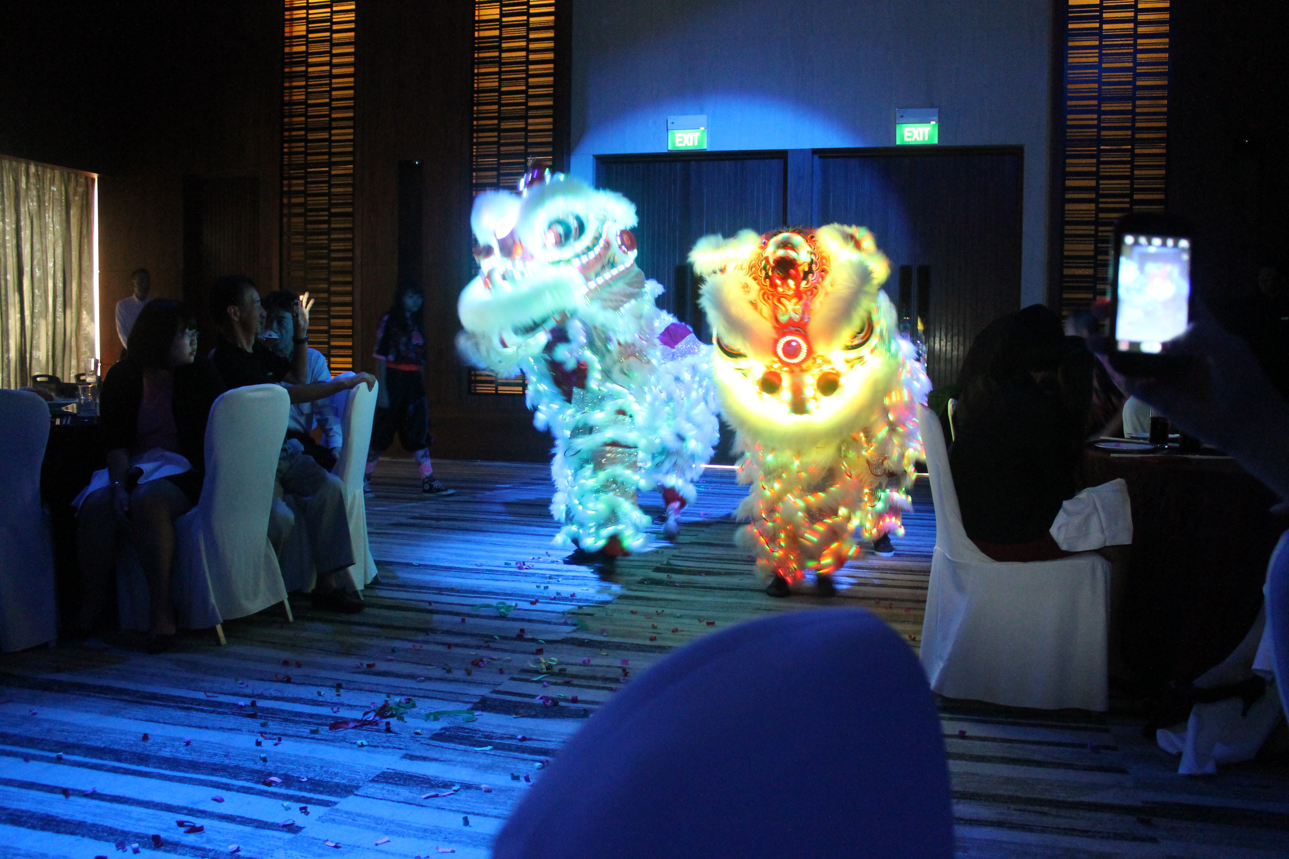 Lion and Dragon Dance Performance