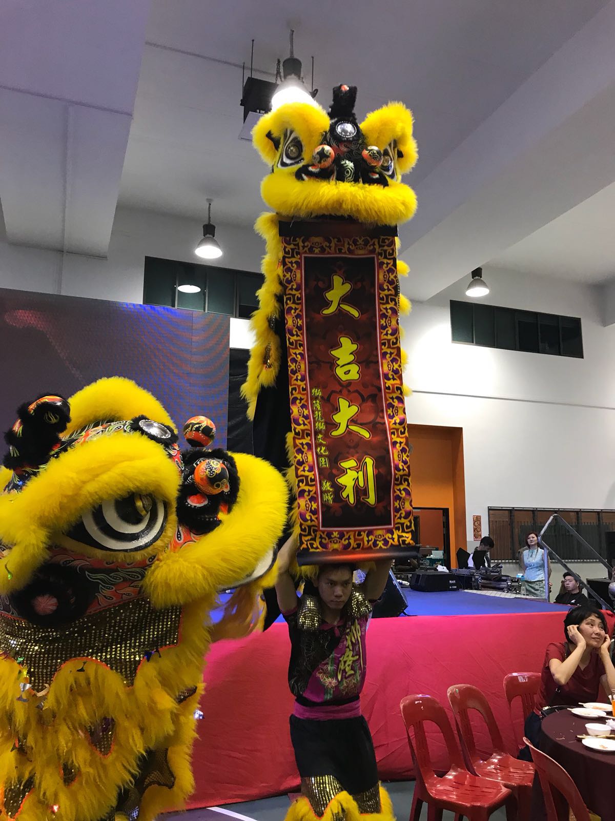 Lion and Dragon Dance Performance