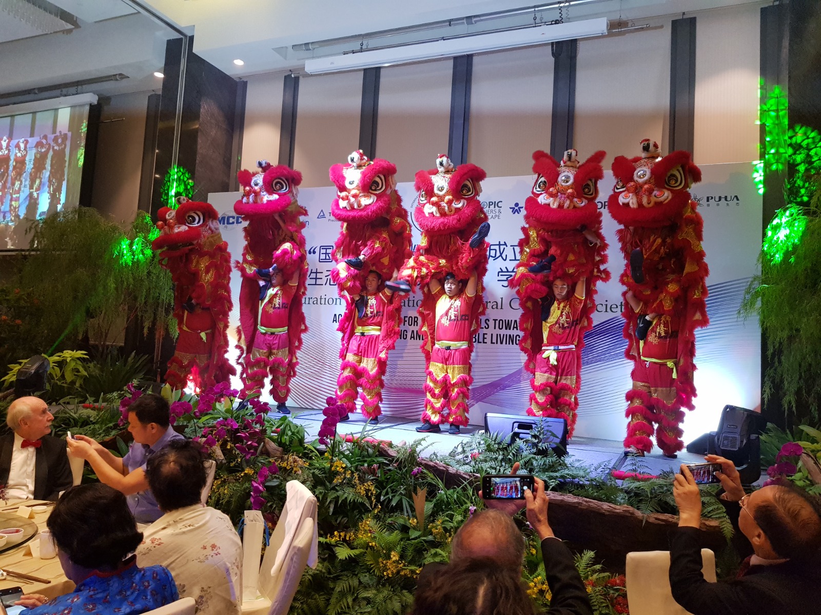Lion and Dragon Dance Performance