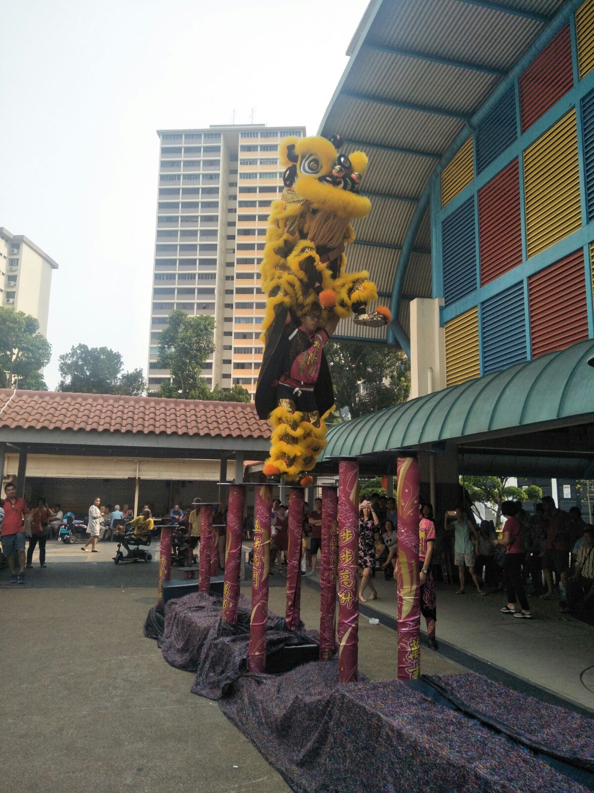 Professional High Pole Service 1