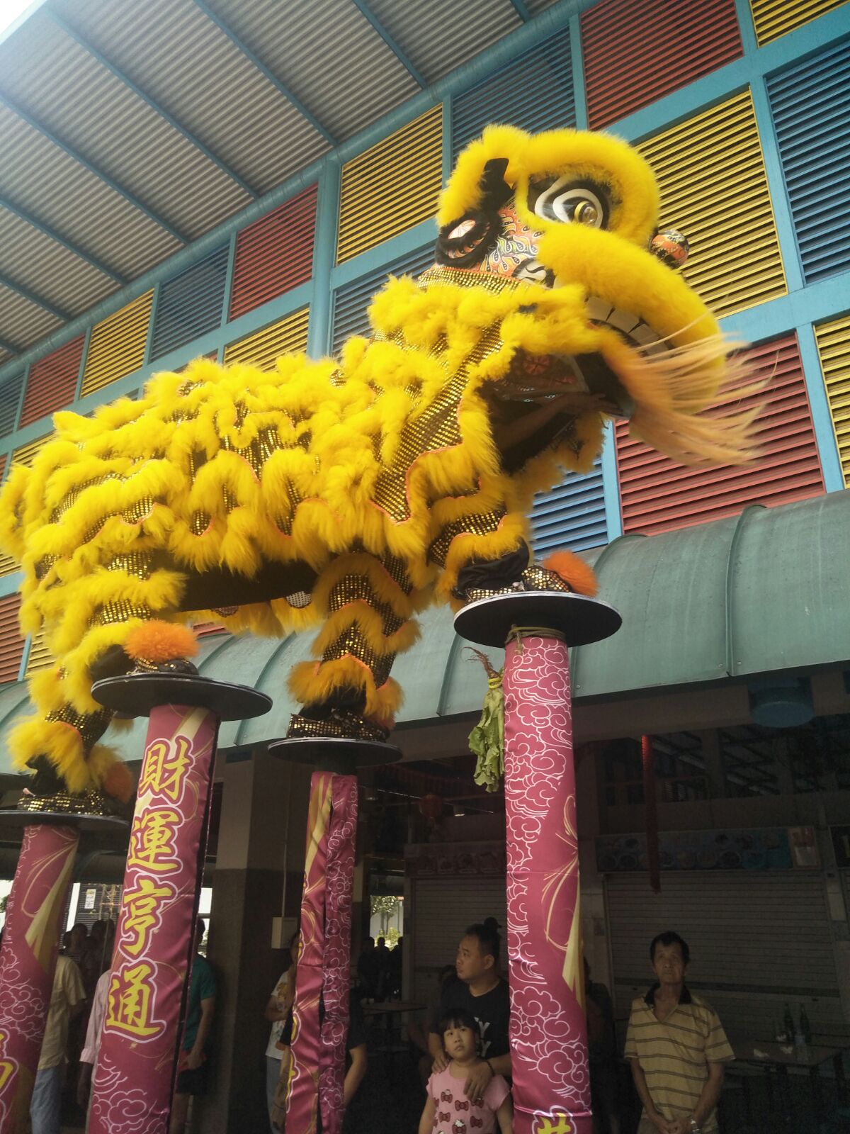 Professional High Pole Service