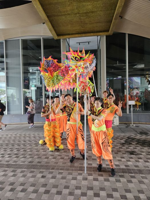 Dragon Dance Performance 17