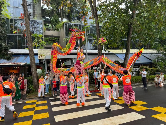 Dragon Dance Performance 2