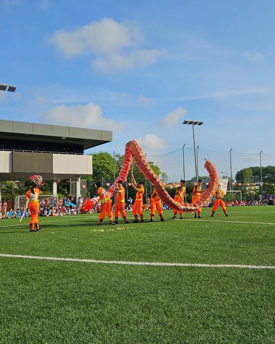 Dragon Dance Performance 5