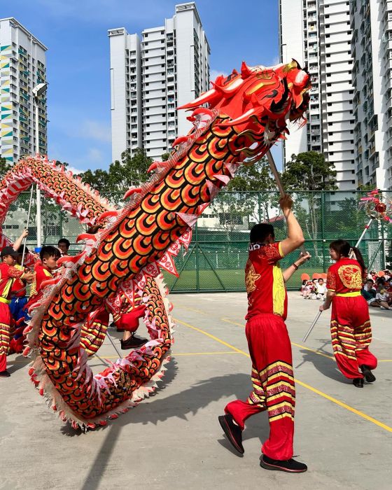 Dragon Dance Performance 6
