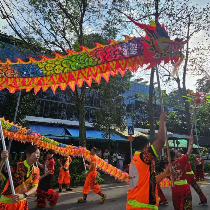 Dragon Dance Performance 7