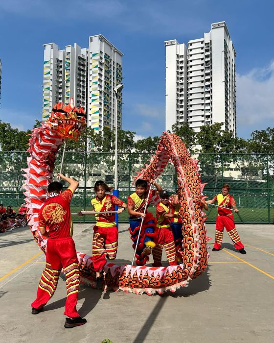 Dragon Dance Performance 8