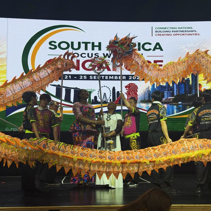 Dragon Dance Performance 9