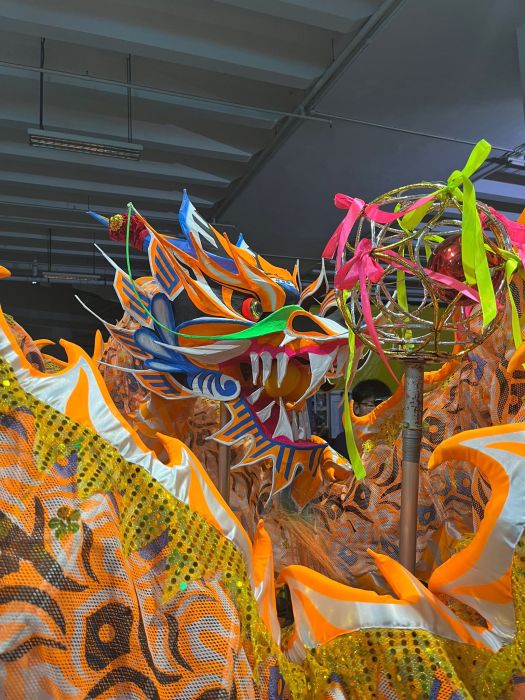 Dragon Dance Performance 10