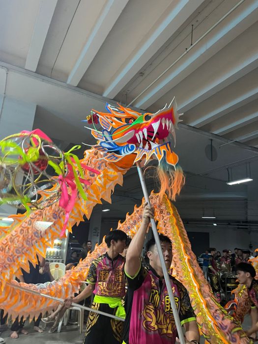 Dragon Dance Performance 11