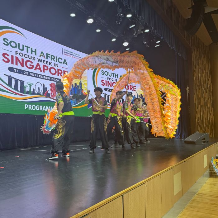 Dragon Dance Performance 12