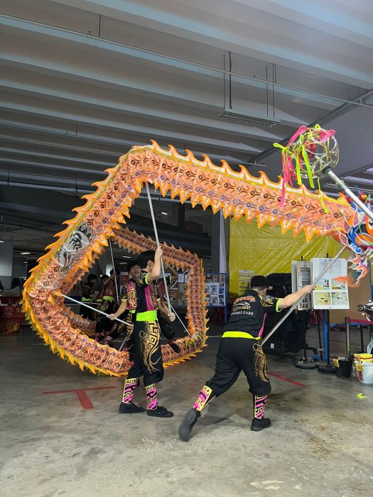 Dragon Dance Performance 13