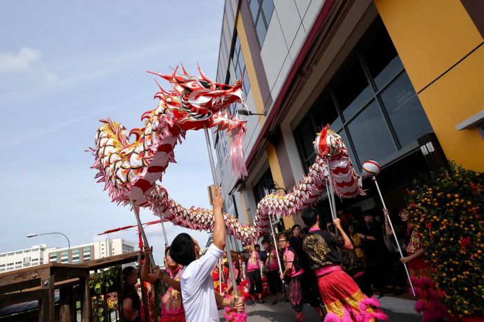 Dragon Dance Performance 14