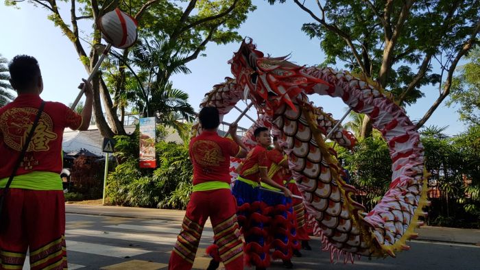 Dragon Dance Performance 16